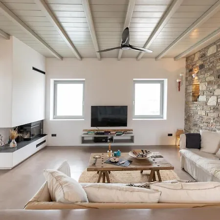 Cactilia In Punda Paros For 8 With Private Pool 别墅 *